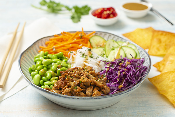 Pork Spring Roll Salad Bowl with Satay Sauce