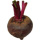 150.0 g Baby Red Beetroot