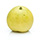 1 Each Nashi (small)