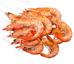 500 g Cooked Whole King Prawns (16/20)